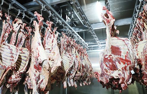 河南伊清杰航牛肉有限公司    清明节不放假，有需要随时 联系我