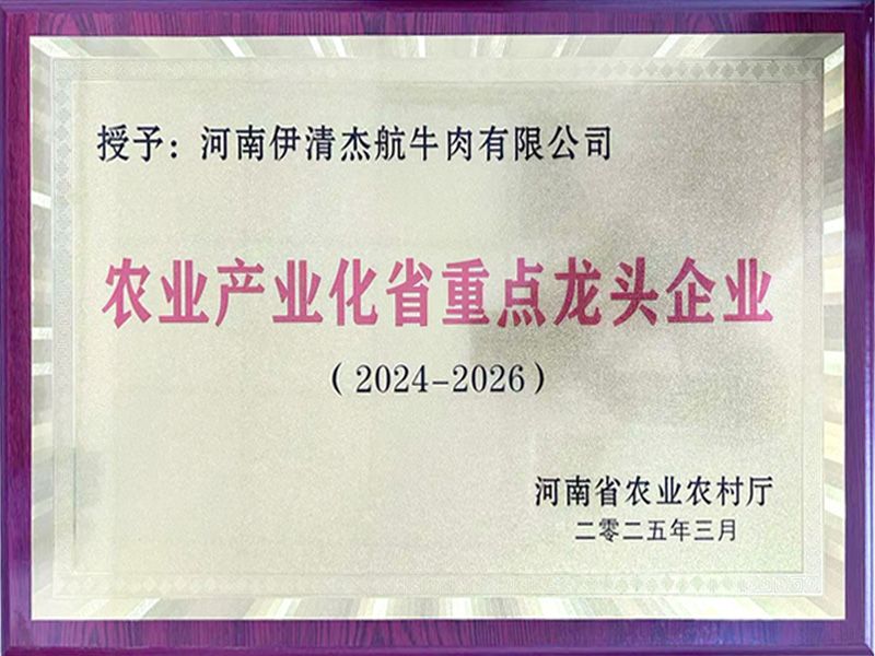 荣誉证书